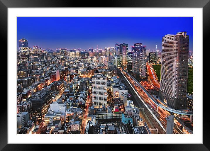 Mega City of Tokyo Framed Mounted Print by Duane Walker