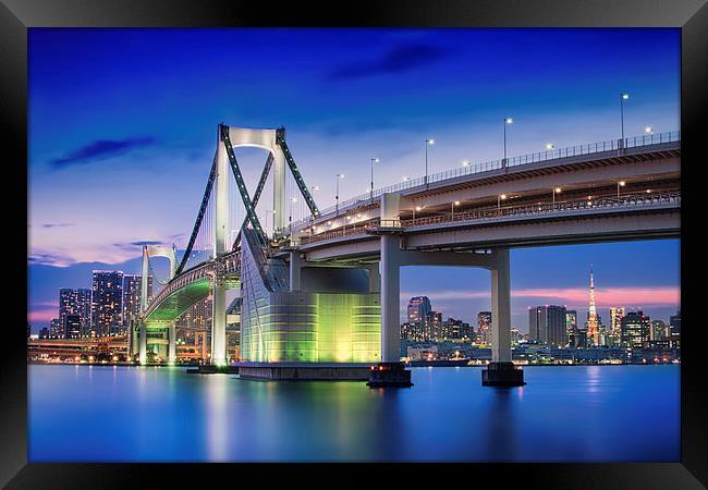  Bridge of Light Framed Print by Duane Walker