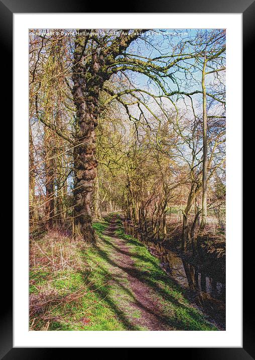 Path and Stream Framed Mounted Print by David Hollingworth