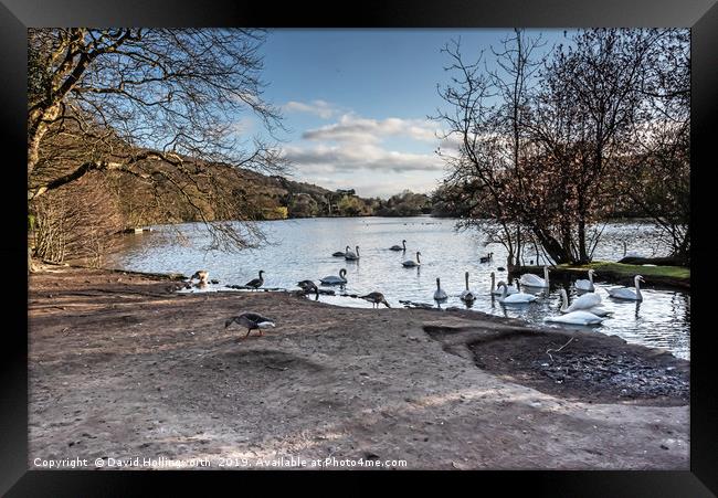 Scarborough Mere Framed Print by David Hollingworth