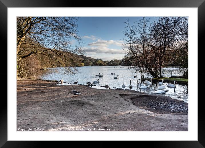 Scarborough Mere Framed Mounted Print by David Hollingworth