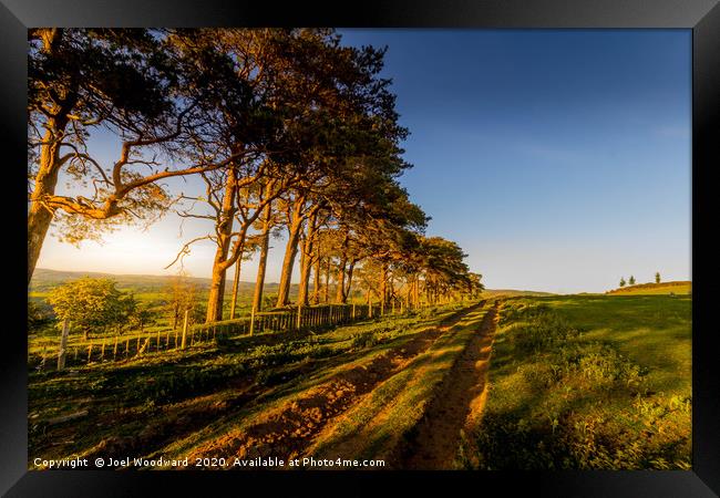 Golden Trees & Dusty Trail Framed Print by Joel Woodward