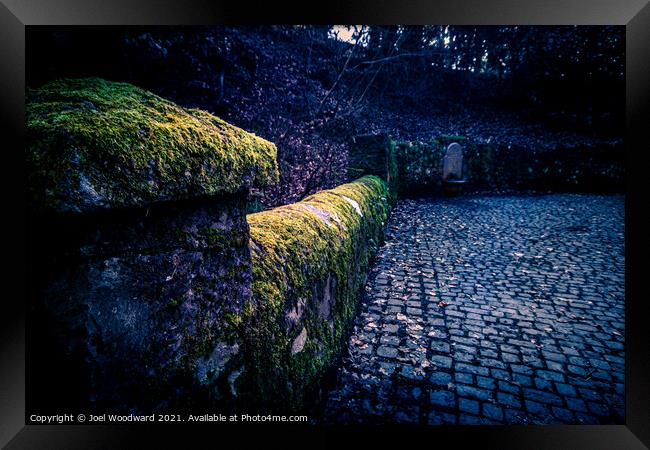 Moss covered walls Rock Park Framed Print by Joel Woodward