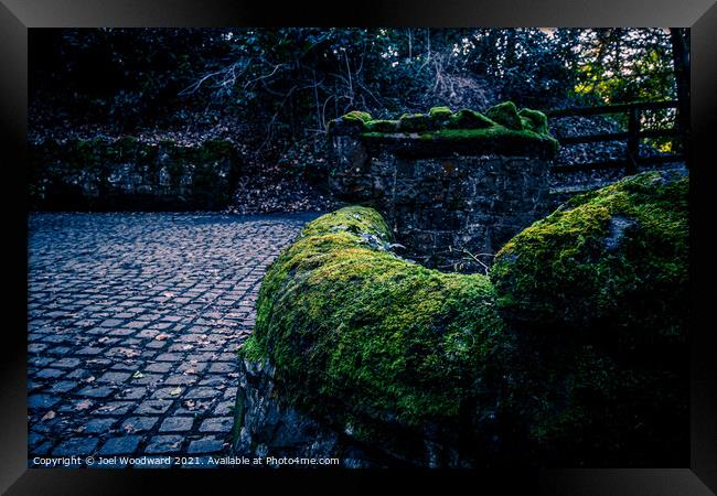 Moss Covered Walls Framed Print by Joel Woodward
