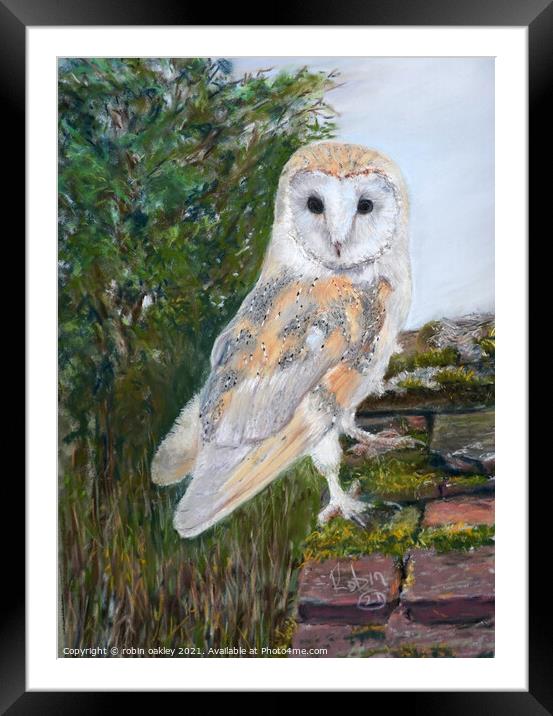 Barn Owl lookout  Framed Mounted Print by robin oakley
