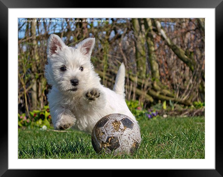 Play Time Pup Framed Mounted Print by Laura Watton