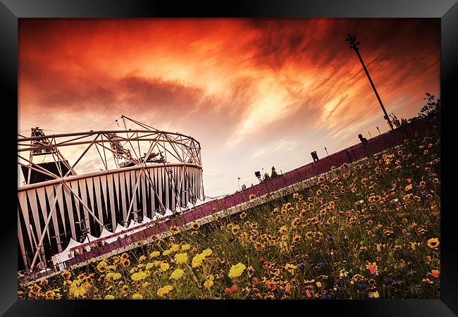 Olympic Stadium Framed Print by Nigel Gooding