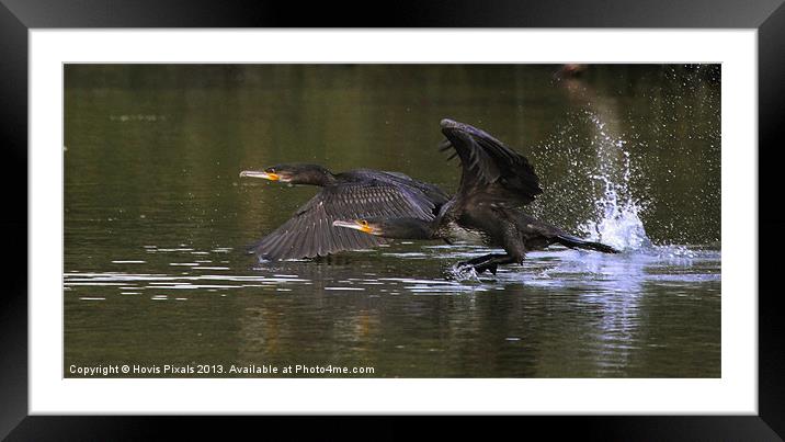 Take off Framed Mounted Print by Dave Burden