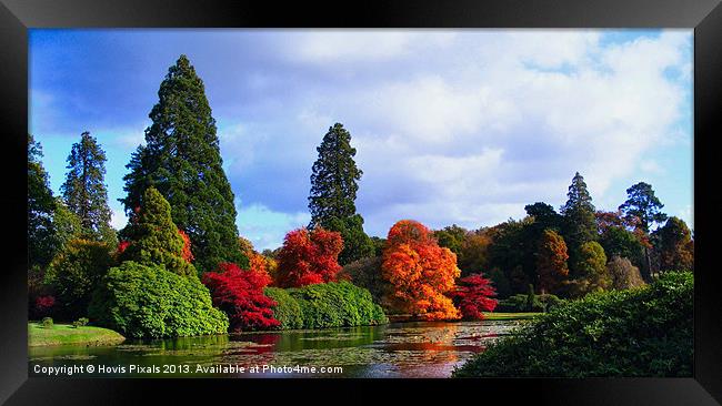 Autumn Colours Framed Print by Dave Burden