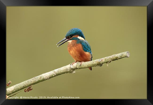 The Fisherman Framed Print by Dave Burden