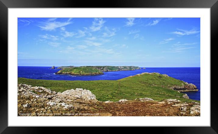  Skomer island view Framed Mounted Print by Dave Burden