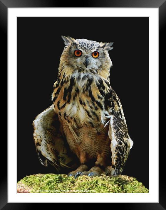 Eagle Owl  (Bubo bubo) Framed Mounted Print by Dave Burden
