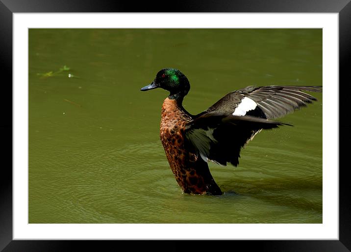Walking On Water Framed Mounted Print by Graham Palmer