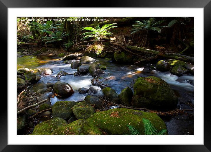  Taggerty Cascades #3 Framed Mounted Print by Graham Palmer