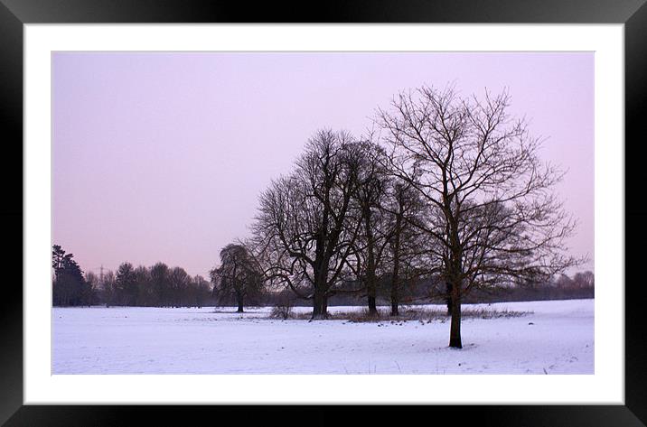 Early Morning DMowy Park Framed Mounted Print by Alan Winter