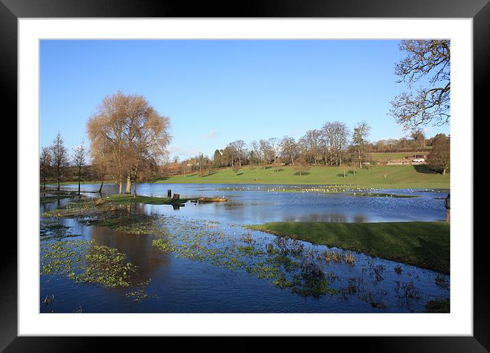 On Lake Gadebridge Framed Mounted Print by Alan Winter