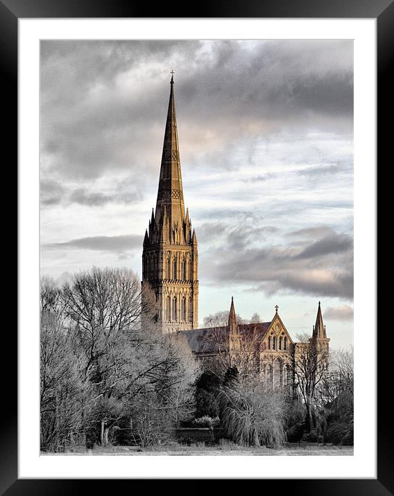 Salisbury Cathedral Framed Mounted Print by
