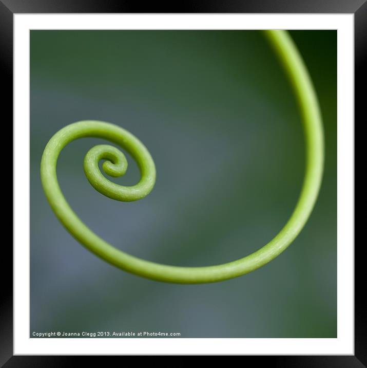 Green Curl Framed Mounted Print by Joanna Clegg