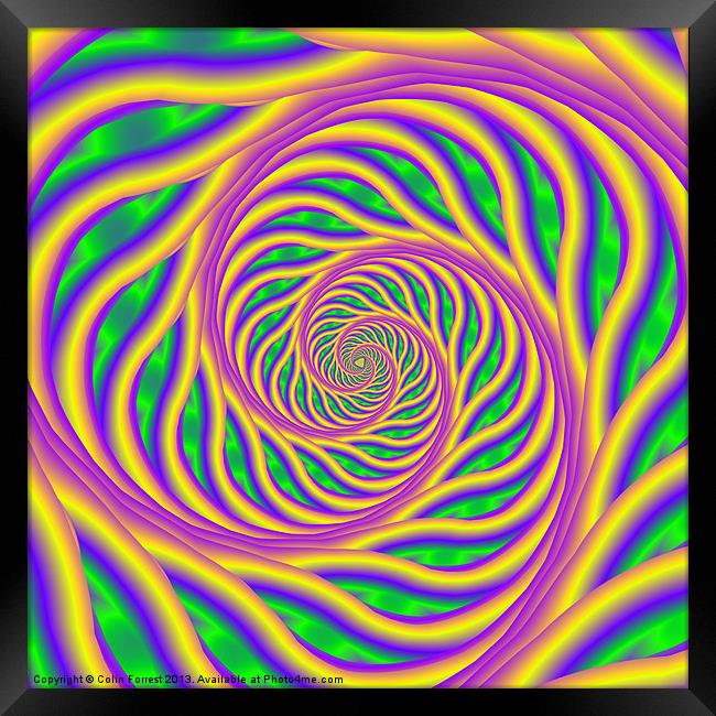 Green Pink and Yellow Spiral Framed Print by Colin Forrest
