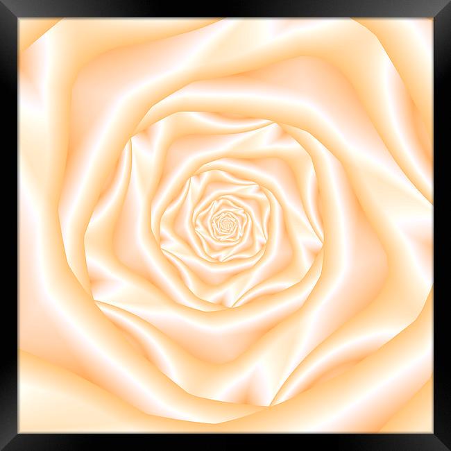 Pale Peach Spiral Rose Framed Print by Colin Forrest