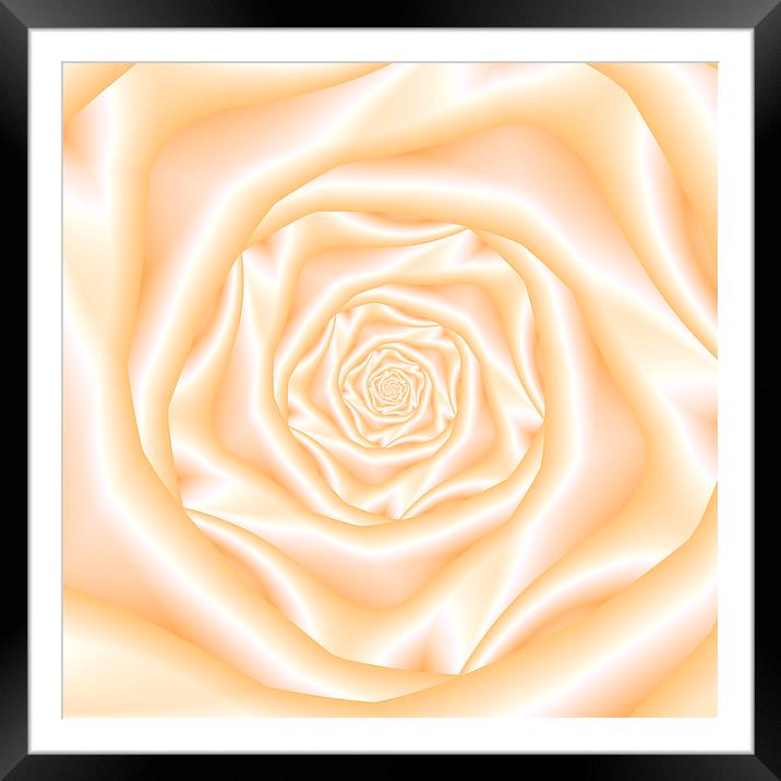 Pale Peach Spiral Rose Framed Mounted Print by Colin Forrest