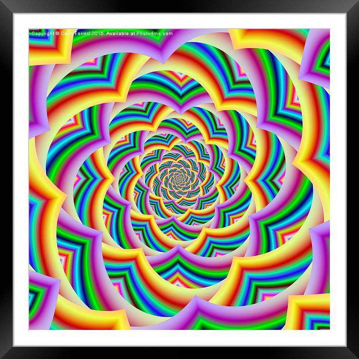 Colorful Curved Chevron Spiral  Framed Mounted Print by Colin Forrest