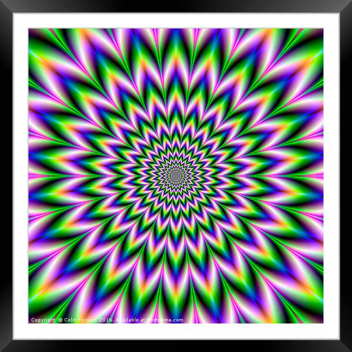 Star Flower in Green Blue and Violet Framed Mounted Print by Colin Forrest