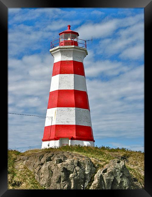 Brier Island (West) Lighthouse Framed Print by David Davies