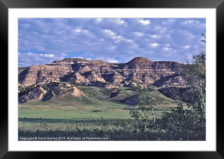 Alberta Badlands Framed Mounted Print by David Davies