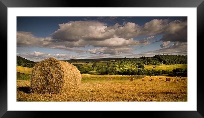 Lazy Summer Days Framed Mounted Print by Dave Hudspeth Landscape Photography