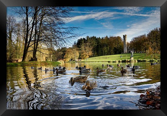  Quackers Framed Print by Dave Hudspeth Landscape Photography