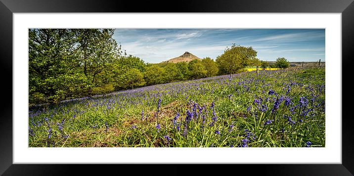 Roseberry Topping Bluebells Framed Mounted Print by Dave Hudspeth Landscape Photography