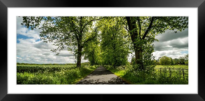 The Roman Road Framed Mounted Print by Dave Hudspeth Landscape Photography