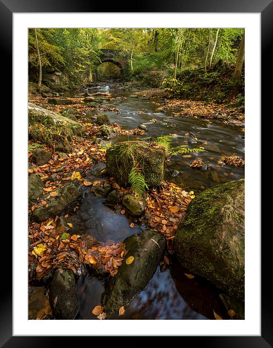 Maybeck Autumn Colours Framed Mounted Print by Dave Hudspeth Landscape Photography