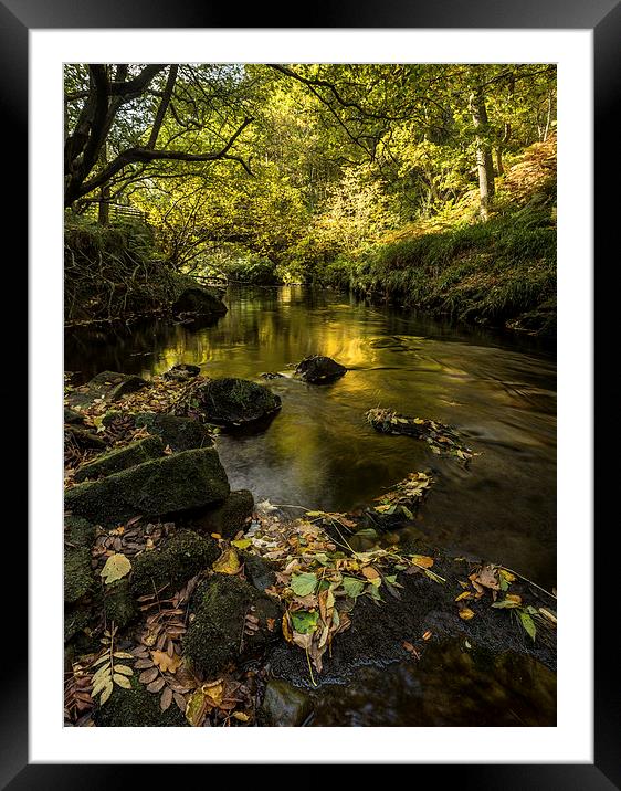 West Beck, Goathland Framed Mounted Print by Dave Hudspeth Landscape Photography