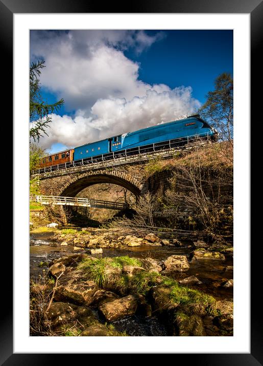 Bittern on the NYMR Framed Mounted Print by Dave Hudspeth Landscape Photography