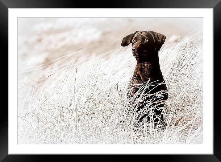  The Waiting Game Framed Mounted Print by Jon Fixter