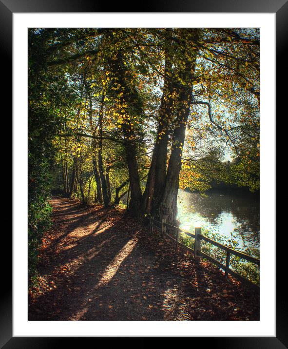 Autumn Pathway along the Lake Framed Mounted Print by Jon Fixter