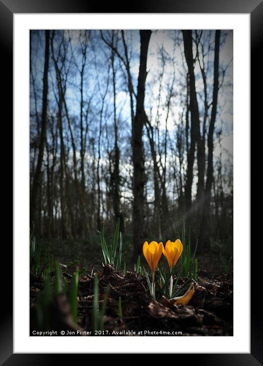 Let the Light shine on in spring Framed Mounted Print by Jon Fixter