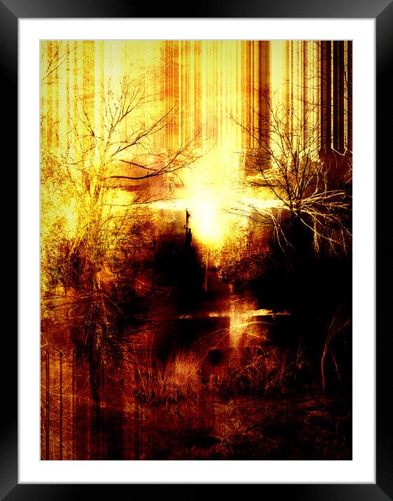 Tree's in motion Impressions  Framed Mounted Print by Jon Fixter