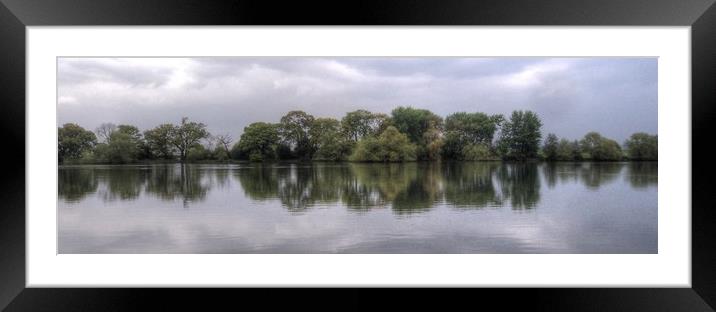 Tree Reflections  Framed Mounted Print by Jon Fixter
