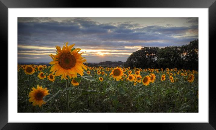 As the sun dies down Framed Mounted Print by Jon Fixter