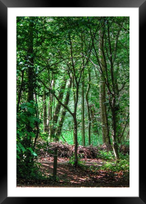 Shades of Green  Framed Mounted Print by Jon Fixter