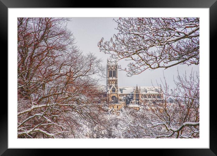 Lincoln cathedral framed by snowy tree's  Framed Mounted Print by Jon Fixter