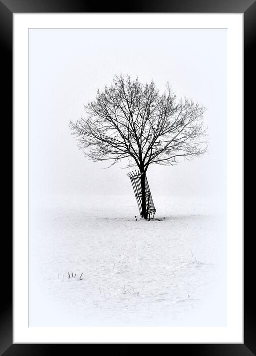 A Lone winters tree  Framed Mounted Print by Jon Fixter