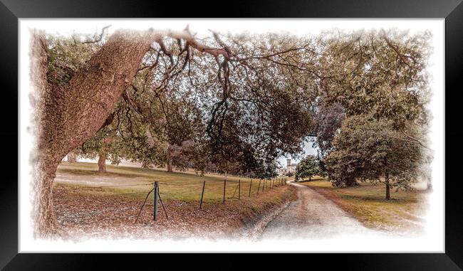 Driveway up to the house Framed Print by Ian Johnston  LRPS