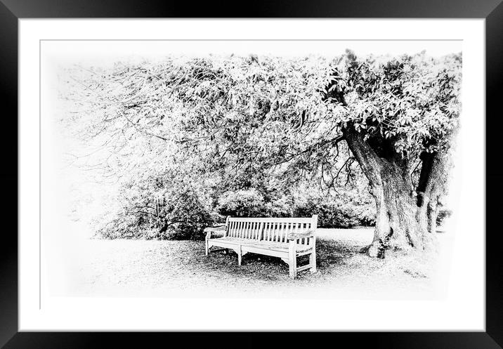 Rest under the tree mono Framed Mounted Print by Ian Johnston  LRPS