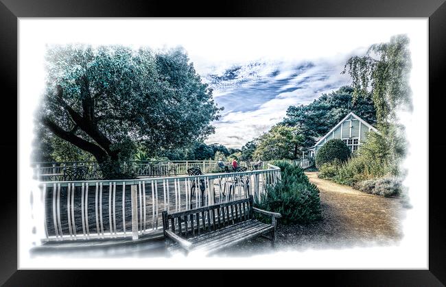 Cafe under the trees Framed Print by Ian Johnston  LRPS