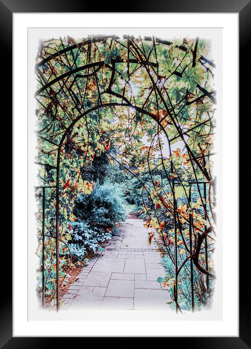 Through the arch and into the garden Framed Mounted Print by Ian Johnston  LRPS