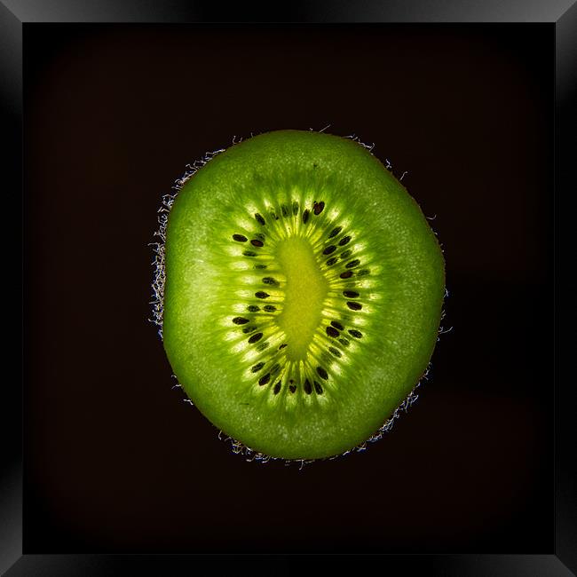 Backlit Fruit Framed Print by Ian Johnston  LRPS
